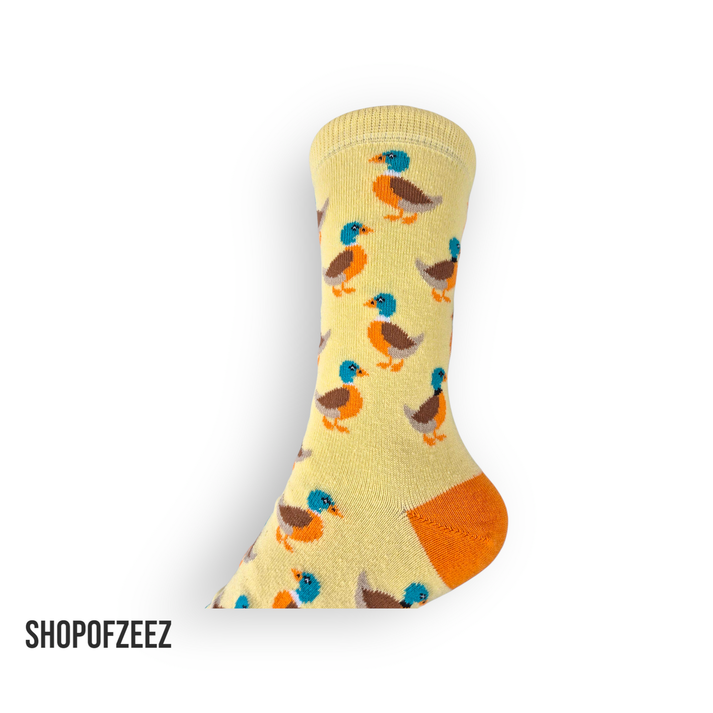 Ente Socken
