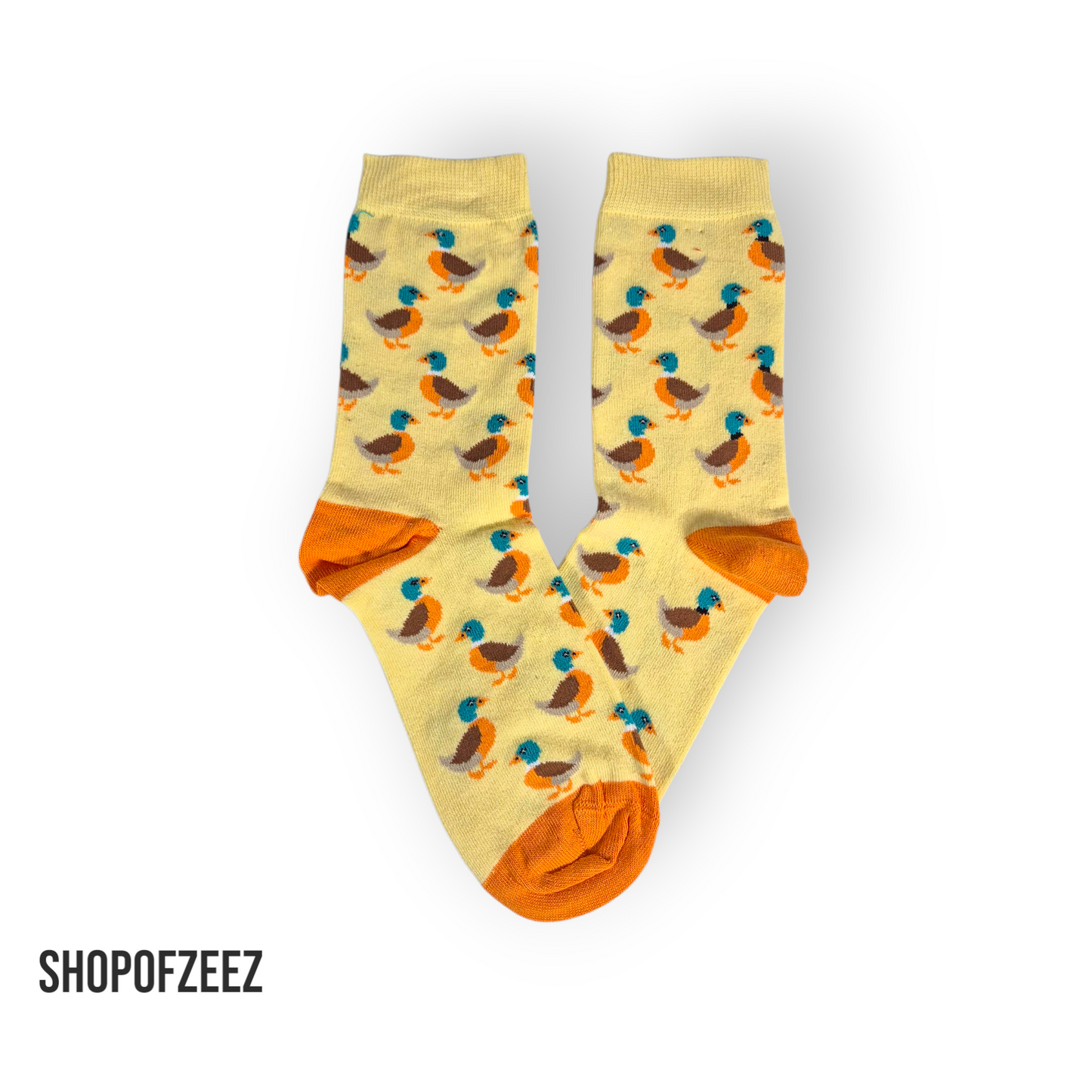 Ente Socken
