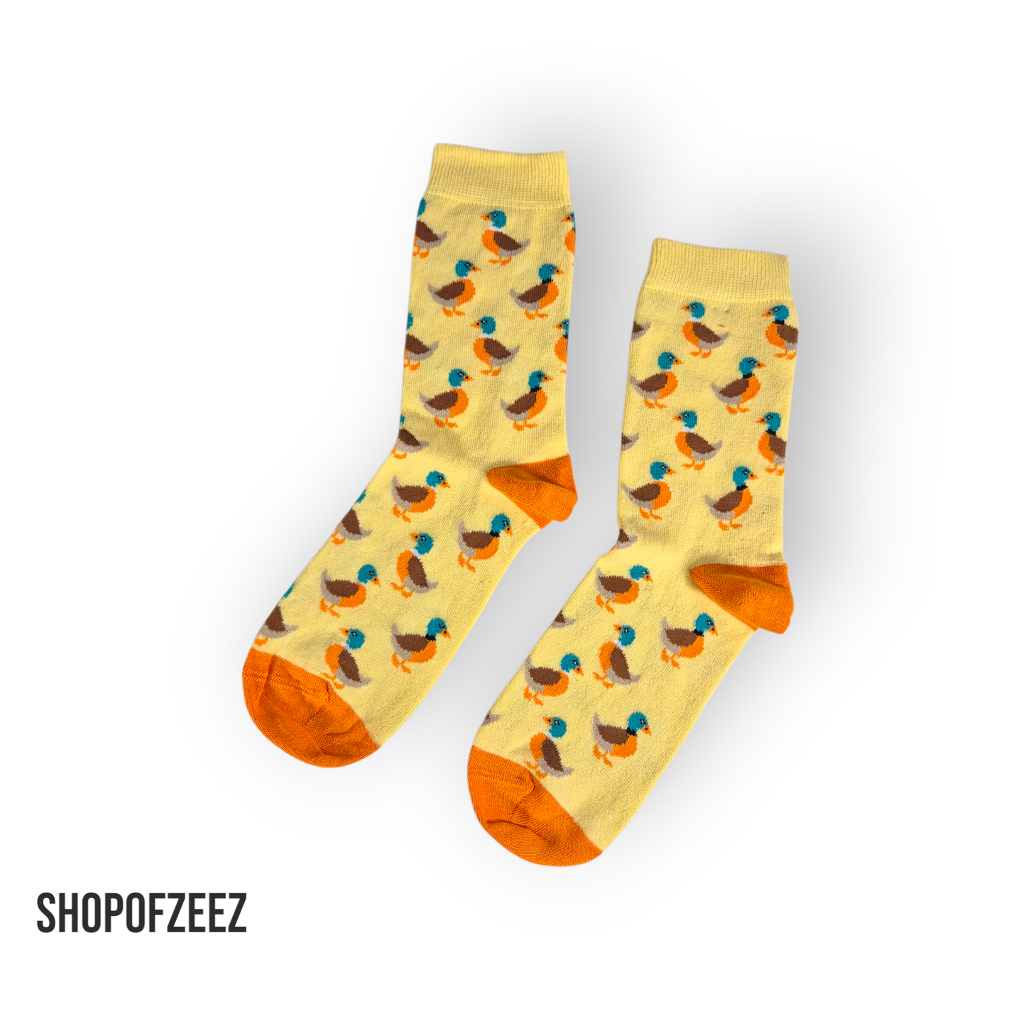 Ente Socken
