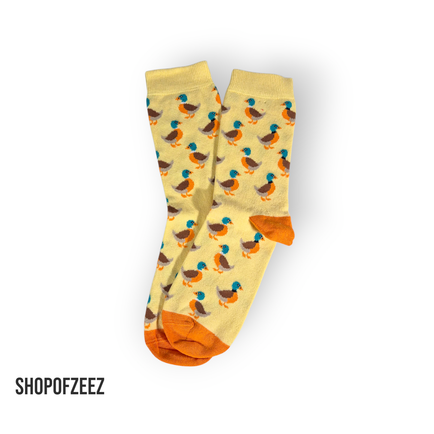 Ente Socken
